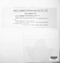 Image Associated With the Occurence